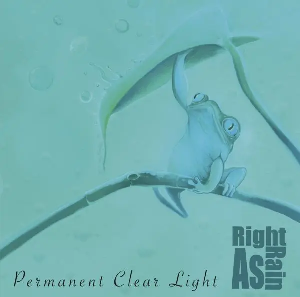 PERMANENT CLEAR LIGHT – right as rain (LP Vinyl)