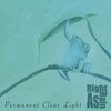 PERMANENT CLEAR LIGHT – right as rain (LP Vinyl)