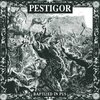 PESTIGOR – baptised in pus (LP Vinyl)