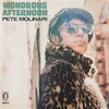 PETE MOLINARI – wondrous afternoon (LP Vinyl)