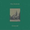 PETER BRODERICK – grunewald (10" Vinyl, CD)