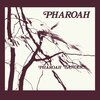PHAROAH SANDERS – pharoah (CD, LP Vinyl)