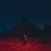 PHOEBE BRIDGERS – punisher (CD, LP Vinyl)