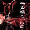 PIG DESTROYER – 38 counts of battery (CD, LP Vinyl)