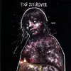 PIG DESTROYER – painter of dead girls (CD, LP Vinyl)