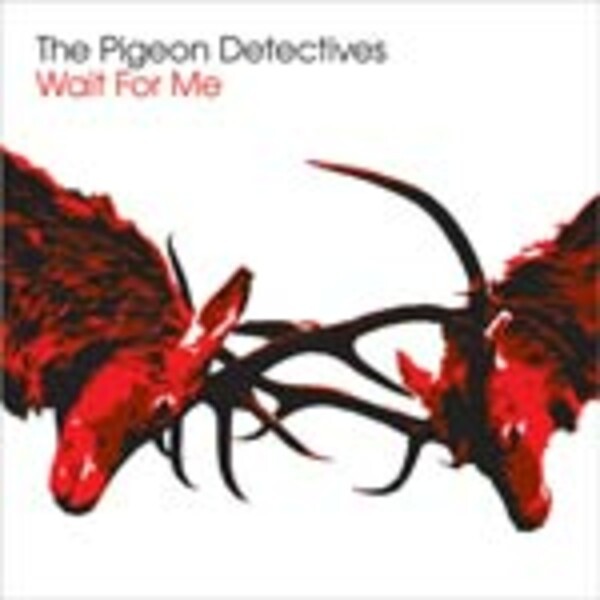 PIGEON DETECTIVES, wait for me cover