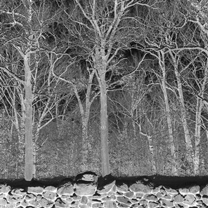 PILE – sunshine and balance beams (CD, LP Vinyl)