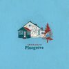 PINEGROVE – amberland sessions (CD, LP Vinyl)