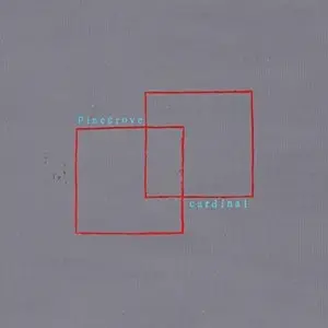 PINEGROVE – cardinal (LP Vinyl)