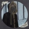 PING – the zig zag manouvre (CD, LP Vinyl)