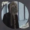 PING – the zig zag manouvre (CD, LP Vinyl)