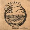 PLEASANTS – forest and fields (LP Vinyl)