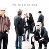 POINTED STICKS – s/t (LP Vinyl)