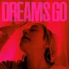 POLICA – dreams go (LP Vinyl)
