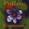 POLLEN – crescent (LP Vinyl)