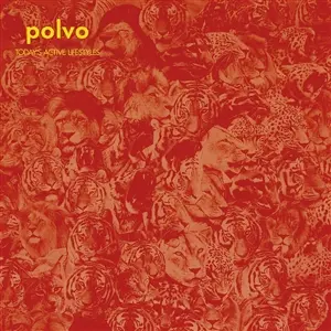 POLVO – today´s active lifestyles (LP Vinyl)