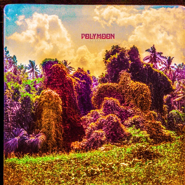 POLYMOON – chrysalis (CD, LP Vinyl)