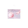 PORCHES – pool (CD)