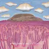 POST ANIMAL – when i think of you in a castle (CD)