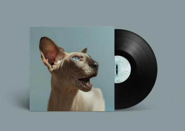 PRINCESS THAILAND – golden frames (LP Vinyl)