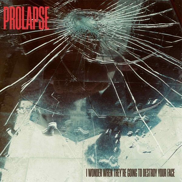 PROLAPSE – i wonder when they´re going to destroy your face (CD, LP Vinyl)