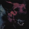PROTOMARTYR – under color of official right (CD, LP Vinyl)