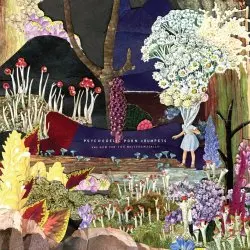 PSYCHEDELIC PORN CRUMPETS – and now for the whatchamacallit (CD)