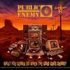 PUBLIC ENEMY – what you gonna do when the grid goes down (CD, LP Vinyl)