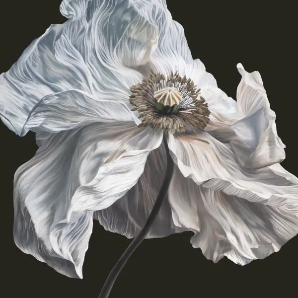 QUICKSAND – bring on the psychics (LP Vinyl)