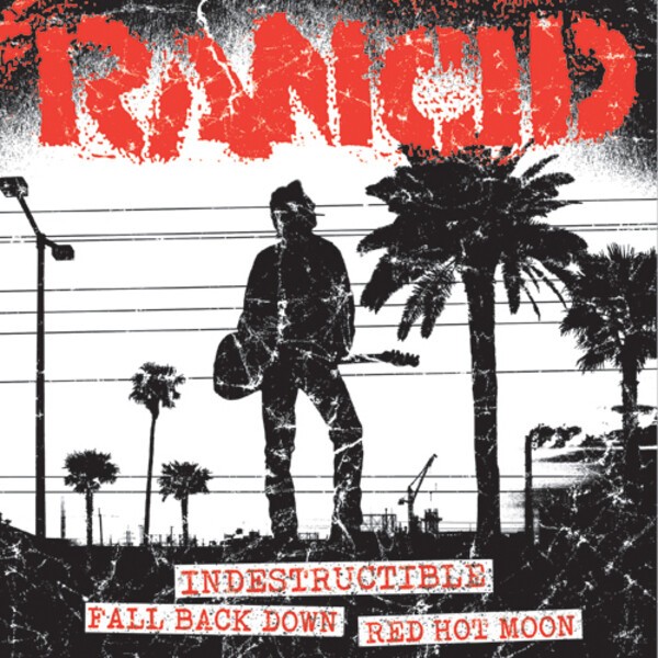Cover RANCID, indestructable