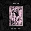 RASPBERRY BULBS – before the age of mirrors (CD, LP Vinyl)