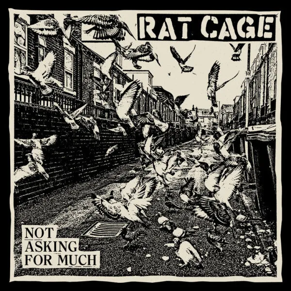 RAT CAGE – not asking for much (LP Vinyl)