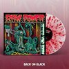 RAW POWER – after your brain (LP Vinyl)