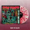 RAW POWER – after your brain (LP Vinyl)
