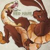 RED HARE – little acts of destruction (CD, LP Vinyl)