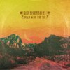 RED MOUNTAINS – down with the sun (LP Vinyl)
