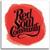 RED SOUL COMMUNITY – what are you doing (LP Vinyl)