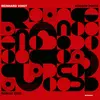 REINHARD VOIGT – robson ponte remixe 2025 (12" Vinyl)