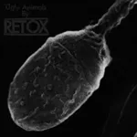 RETOX – ugly animals (CD, LP Vinyl)