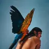 REYNA TROPICAL – malegria (CD, LP Vinyl)