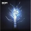 RIOPY – tree of light (CD, LP Vinyl)