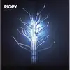 RIOPY – tree of light (CD, LP Vinyl)