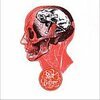 RIOT BEFORE – s/t (acoustic) (CD, LP Vinyl)