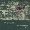 RIP VAN WINKLE – grand rapids ep (CD, LP Vinyl)