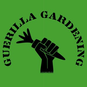 RISOM, guerilla gardening (girl), green cover