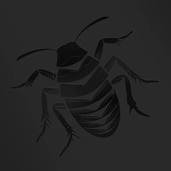 ROACH SQUAD – s/t (LP Vinyl)