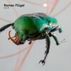 ROMAN FLÜGEL – fabric 95 (CD)