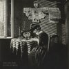 RONG KONG KOMA – delfine der weide (LP Vinyl)