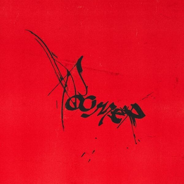 ROOMER – leaving it all to chance (LP Vinyl)