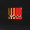 ROOSEVELT – polydans (CD)